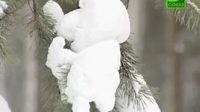 Видео порнуха #127