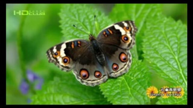 Видео порнуха #153886