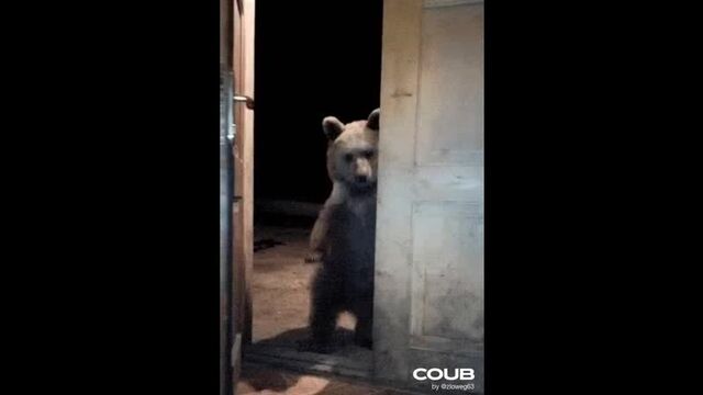 Видео порнуха #49510