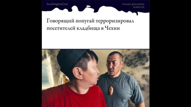 Видео порнуха #141582